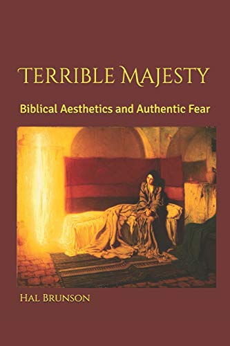 Stock image for Terrible Majesty: Biblical Aesthetics and Authentic Fear for sale by Lucky's Textbooks