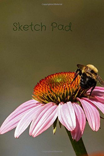 Imagen de archivo de Sketch Pad: Bumble Bee, 6 x 9 Sketchbook Journal, Blank Notebook Unlined, Paper for Drawing, Writing, Doodling, Sketching (Doodle Book, Notepad), 100 Durable Unruled Pages, Nature Cover a la venta por Ergodebooks