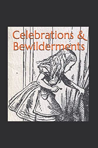 Stock image for Celebrations & Bewilderments for sale by THE SAINT BOOKSTORE