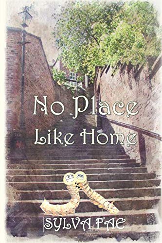 Stock image for No Place Like Home: The Adventures of Silky and Mac for sale by AwesomeBooks