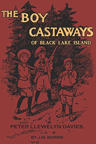 Beispielbild fr The Boy Castaways of Black Lake Island zum Verkauf von SecondSale