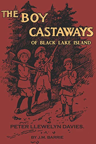 Stock image for The Boy Castaways of Black Lake Island for sale by SecondSale