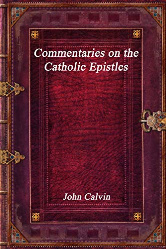 Stock image for Commentaries on the Catholic Epistles for sale by Revaluation Books