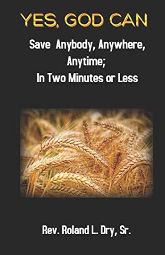 Imagen de archivo de Yes, God Can: Save Anybody, Anywhere, Anytime; In Two Minutes or Less a la venta por Revaluation Books