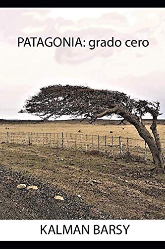 Imagen de archivo de Patagonia, grado cero a la venta por Revaluation Books