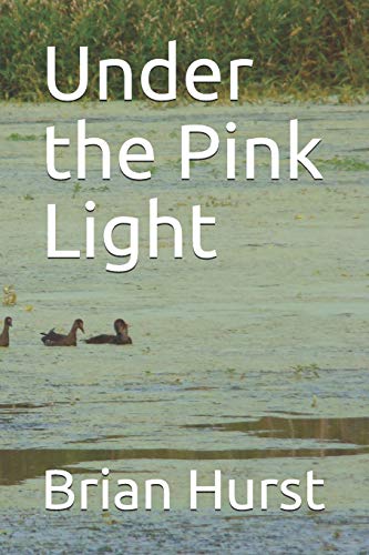 Beispielbild fr Under the Pink Light zum Verkauf von Revaluation Books