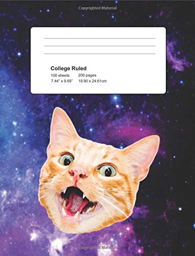 Beispielbild fr Fantasy Space Cat Notebook: Notebook For School zum Verkauf von Revaluation Books