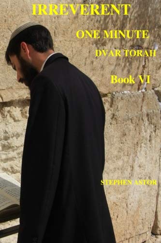 Stock image for Irreverent One Minute Dvar Torah Book VI: Volume 6 for sale by Revaluation Books