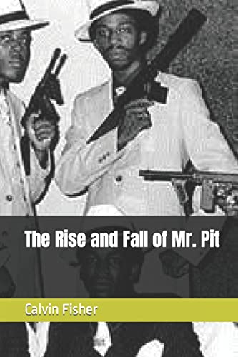 Stock image for The Rise and Fall of Mr. Pit for sale by Lucky's Textbooks