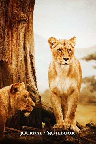 9781724536310: Journal / Notebook: Africa, Lion, Safari 6 x 9 - 137 lined pages for endless note taking. To do lists to help you accomplish your daily goals. ? ... cover ? Professional quality 60# stock paper