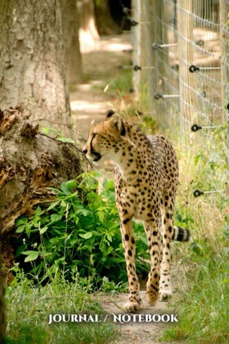 Stock image for Journal / Notebook: Africa, Cheetah, Safari 6 x 9 - 137 lined pages for endless notes. To do lists to help you accomplish your daily goals. ? Perfect . cover ? Professional quality 60# stock paper for sale by Revaluation Books