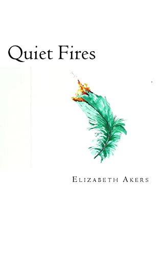 Stock image for Quiet Fires for sale by THE SAINT BOOKSTORE