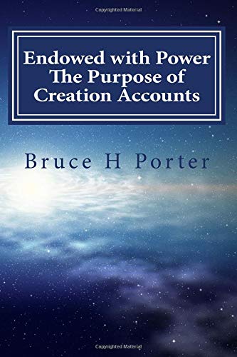 Beispielbild fr Endowed with Power: The Purpose of Creation Accounts zum Verkauf von ThriftBooks-Atlanta