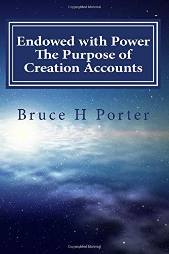 Imagen de archivo de Endowed with Power: The Purpose of Creation Accounts a la venta por ThriftBooks-Atlanta