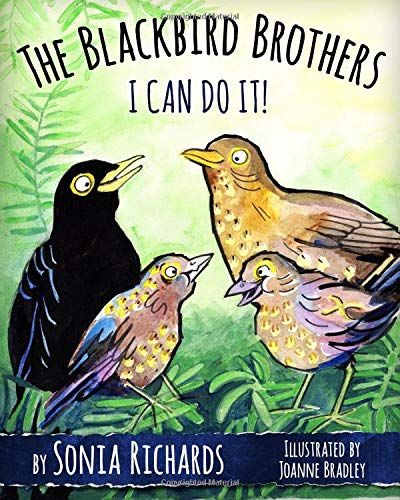 Beispielbild fr The Blackbird Brothers - I Can Do It zum Verkauf von WorldofBooks