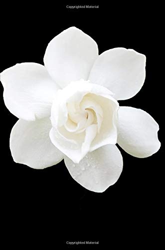 Imagen de archivo de White Gardenia: Growing Flowers, Gardening - Composition Notebook Journal Diary, College Ruled, 150 pages a la venta por Revaluation Books