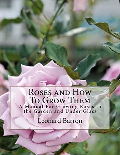 9781724966360: Roses and How To Grow Them: A Manual For Growing Roses in the Garden and Under Glass