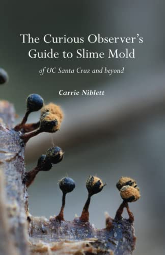 

The Curious Observer's Guide to Slime Mold of UC Santa Cruz and Beyond