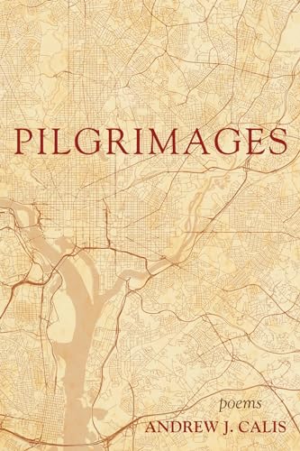 Imagen de archivo de Pilgrimages a la venta por Russell Books