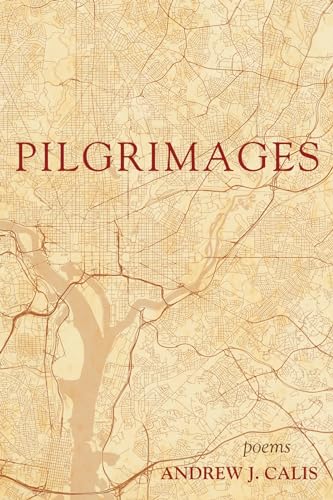 Stock image for Pilgrimages for sale by Russell Books