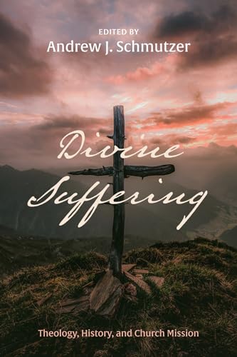 Imagen de archivo de Divine Suffering: Theology, History, and Church Mission [Soft Cover ] a la venta por booksXpress