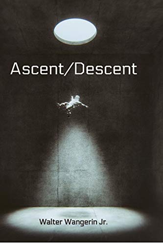 Imagen de archivo de Ascent/Descent a la venta por Lakeside Books