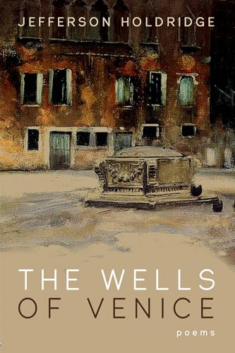 Stock image for The Wells of Venice for sale by Lakeside Books