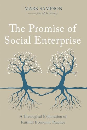 Beispielbild fr The Promise of Social Enterprise: A Theological Exploration of Faithful Economic Practice zum Verkauf von Ria Christie Collections