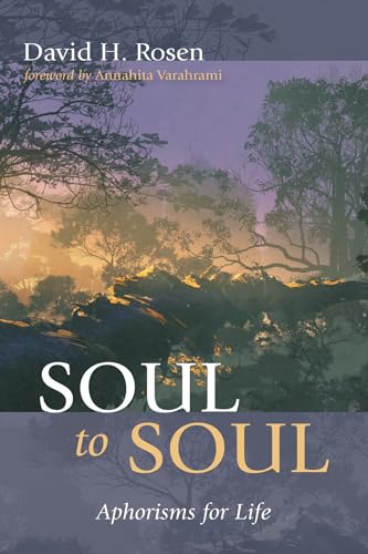 Stock image for Soul to Soul for sale by THE SAINT BOOKSTORE