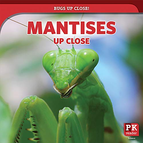 Beispielbild fr Mantises Up Close (Bugs Up Close!) zum Verkauf von Buchpark