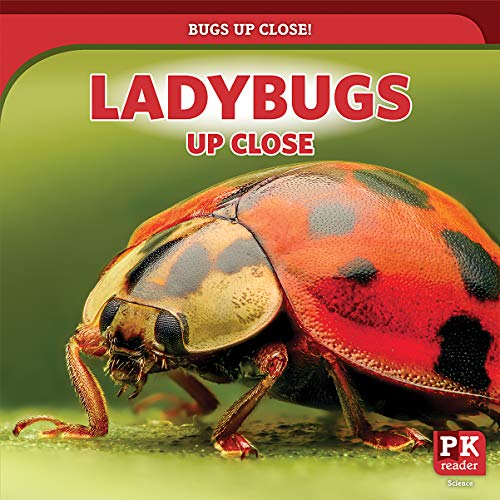 Imagen de archivo de Ladybugs Up Close a la venta por Bookmonger.Ltd