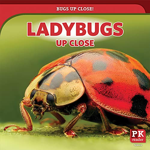 Stock image for Ladybugs Up Close for sale by Bookmonger.Ltd