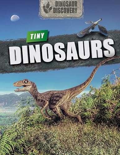 Stock image for Tiny Dinosaurs for sale by Revaluation Books