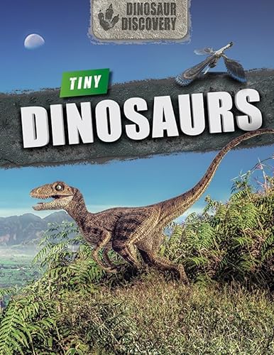 Stock image for Tiny Dinosaurs for sale by ThriftBooks-Dallas