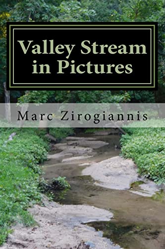 Stock image for Valley Stream in Pictures: Summer Edition for sale by THE SAINT BOOKSTORE
