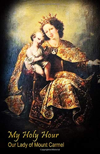 Stock image for My Holy Hour - Our Lady of Mt. Carmel: A Devotional Prayer Journal (Marion Devotional Journals) for sale by Ergodebooks