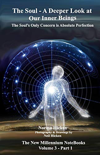 Stock image for The Soul - A Deeper Look at Our Inner Beings: The Soul's Only Concern is Absolute Perfection (The New Millennium Notebooks) for sale by Lucky's Textbooks