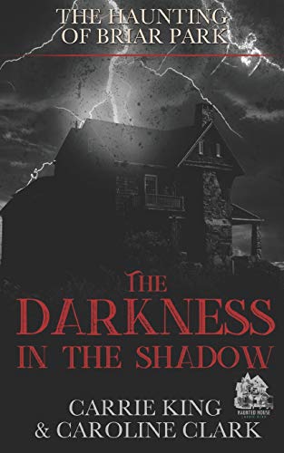 Imagen de archivo de The Darkness in the Shadow (The House in Briar Park) a la venta por SecondSale