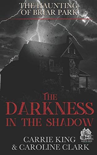 Stock image for The Darkness in the Shadow (The House in Briar Park) for sale by SecondSale