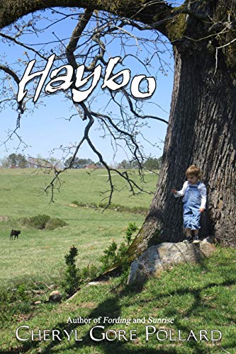 Imagen de archivo de Haybo a la venta por Lucky's Textbooks