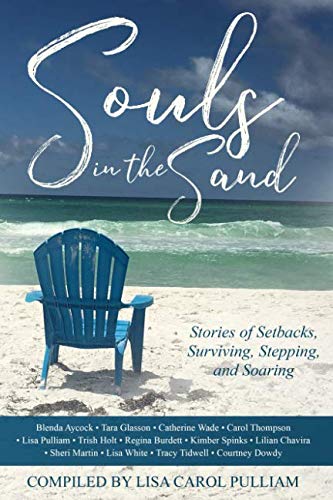 Beispielbild fr Souls in the Sand: Stories of Setbacks, Surviving, Stepping and Soaring zum Verkauf von Orion Tech