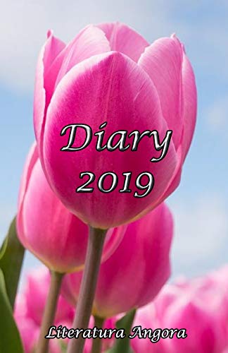Imagen de archivo de Diary 2019 a la venta por THE SAINT BOOKSTORE