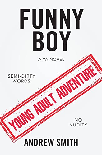 Stock image for Funny Boy: A YA Novel for sale by ThriftBooks-Atlanta