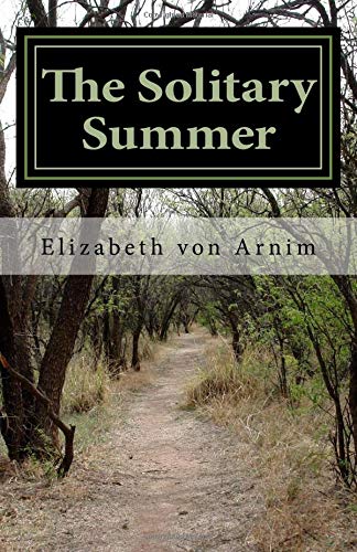 Beispielbild fr The Solitary Summer zum Verkauf von Revaluation Books