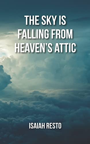 Stock image for The Sky is Falling from Heaven's Attic for sale by Lucky's Textbooks