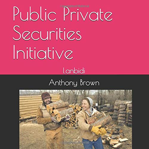 Stock image for Public Private Securities Initiative: Lanbidi for sale by Revaluation Books