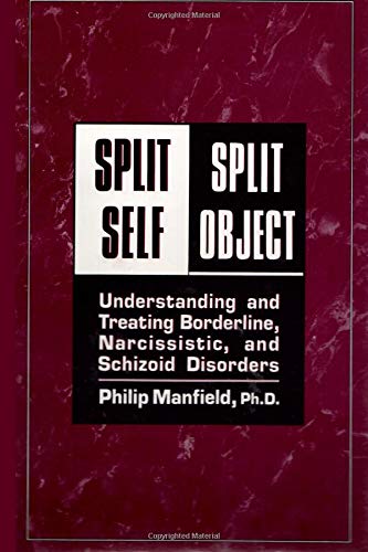 Imagen de archivo de Split Self/ Split Object:: Understanding and Treating Borderline, Narcissistic, and Schizoid Disorders a la venta por Revaluation Books