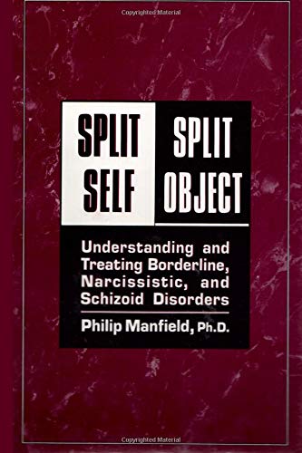 Stock image for Split Self/ Split Object:: Understanding and Treating Borderline, Narcissistic, and Schizoid Disorders for sale by St Vincent de Paul of Lane County
