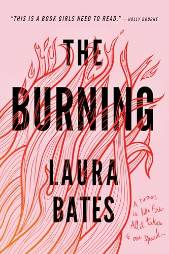 Imagen de archivo de Burning, The (HC) a la venta por Lakeside Books