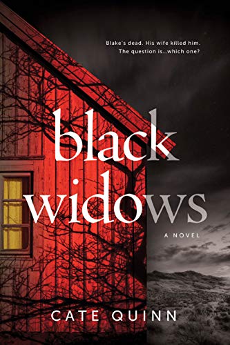 Beispielbild fr Black Widows : A Domestic Thriller zum Verkauf von Better World Books